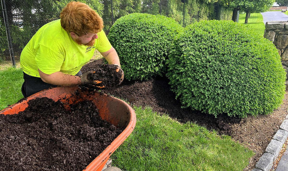 JSC mulch JSC mulch