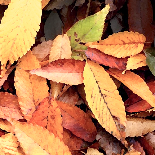 JSC Fall Clean up leaves