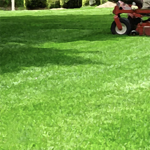 Lawn Cutting