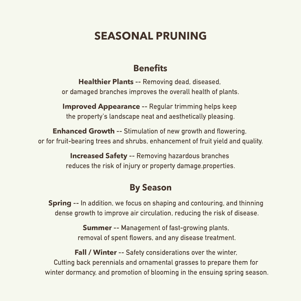 JSC Seasonal Pruning para