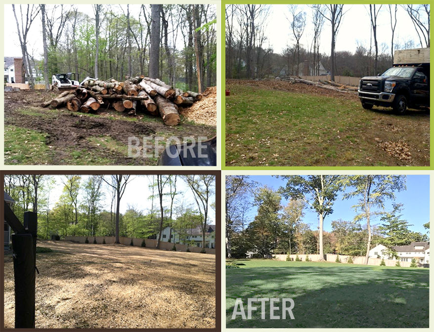 JSC Before n After clearing